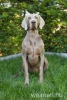 Cody7