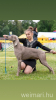 Sz_V_Arthur